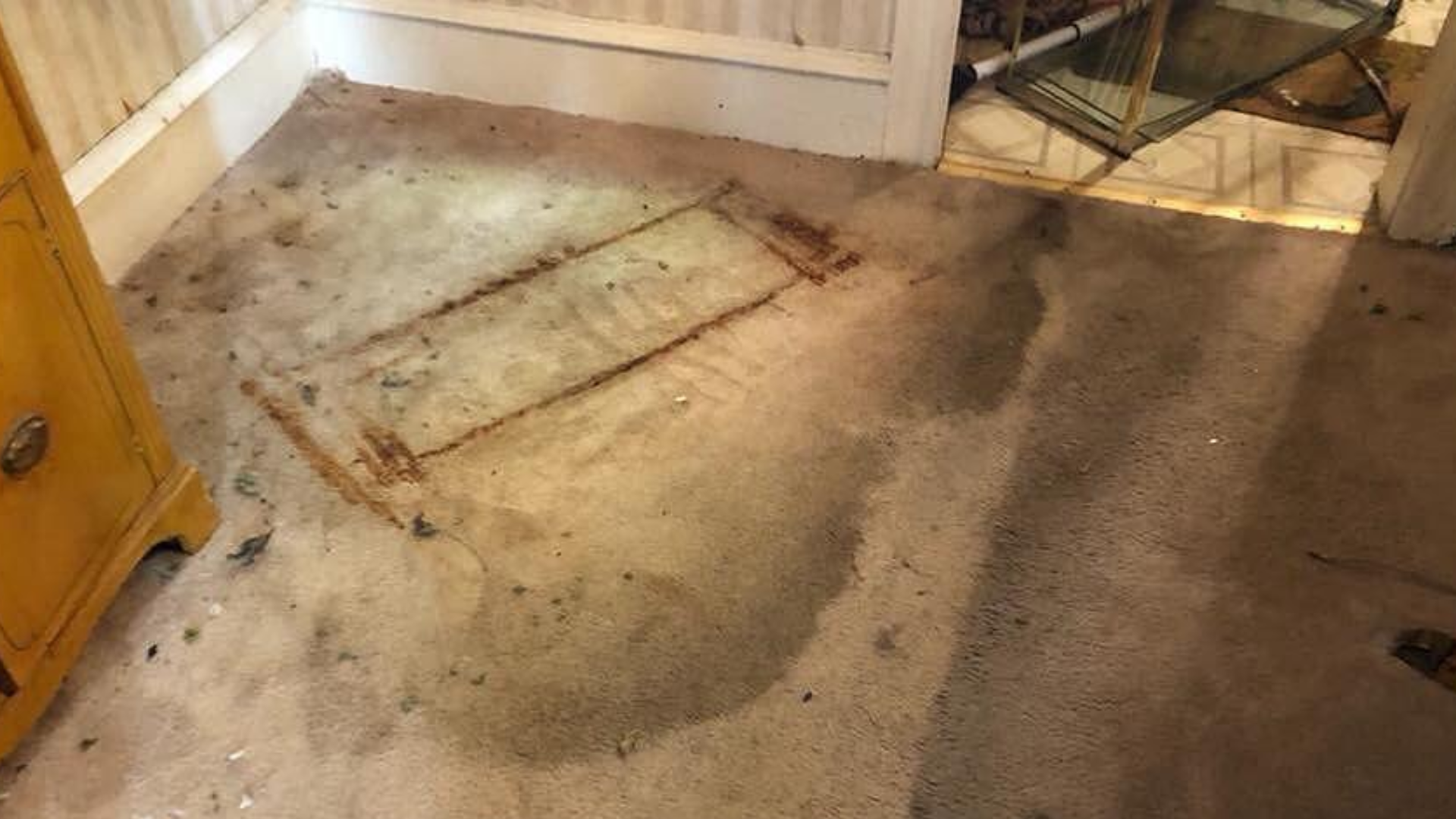 After Cleaning with Carpet Doctor Carpet, Furniture and Floor Restoration