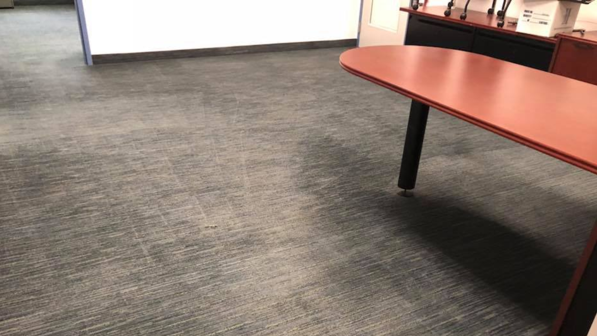 Commercial Cleaning with Carpet Doctor Carpet, Furniture and Floor Restoration