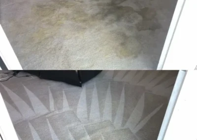 Carpet, Furniture and Floor Restoration