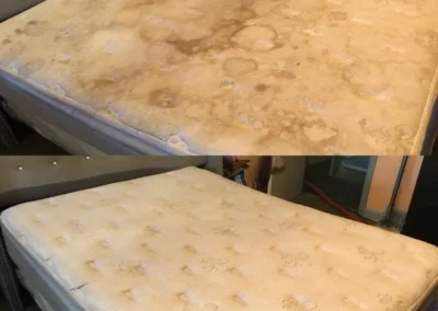 Carpet, Furniture and Floor Restoration