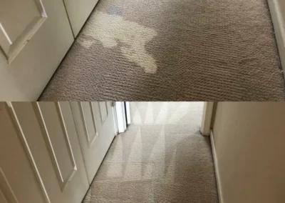Carpet, Furniture and Floor Restoration