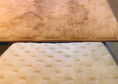 Carpet, Furniture and Floor Restoration