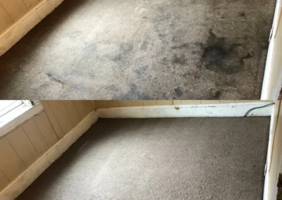 Carpet, Furniture and Floor Restoration