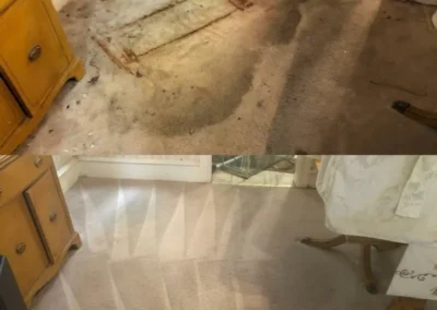 Carpet, Furniture and Floor Restoration