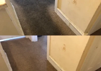 Carpet, Furniture and Floor Restoration