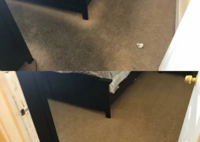 Carpet, Furniture and Floor Restoration