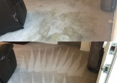 Carpet, Furniture and Floor Restoration